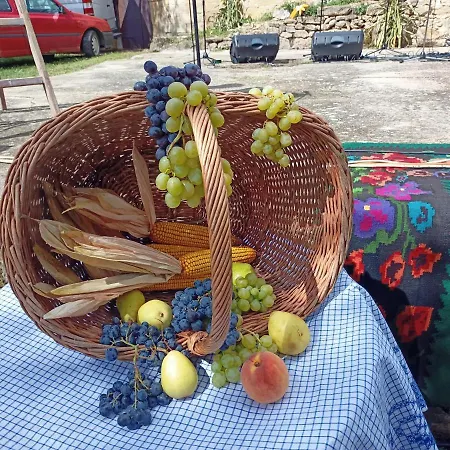 Apartamento Kuca Za Odmor Radmila - Rogljevacke Pivnice