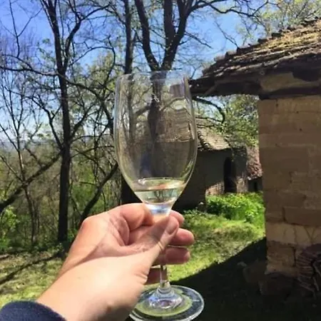 Апартаменты Kuca Za Odmor Radmila - Rogljevacke Pivnice *
