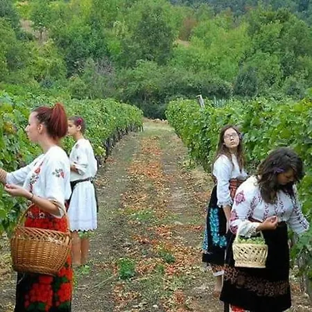 Apartamento Kuca Za Odmor Radmila - Rogljevacke Pivnice