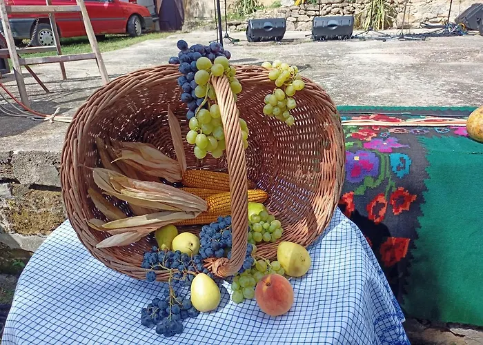 Daire Kuca Za Odmor Radmila - Rogljevacke Pivnice