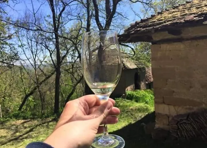 Daire Kuca Za Odmor Radmila - Rogljevacke Pivnice *